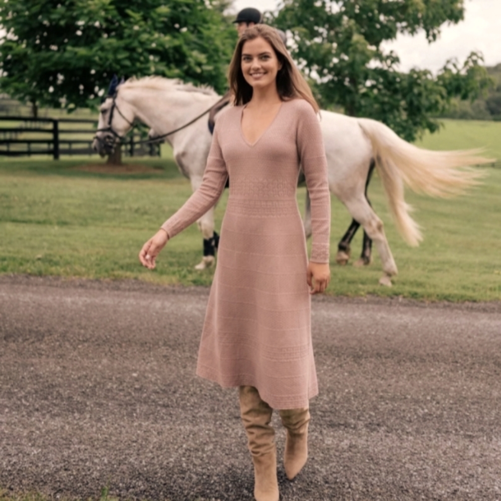 🎀Gal Meets Glam Heidi dress XS